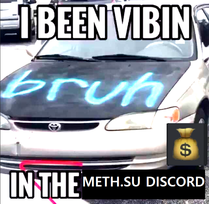 i've been vibin in the meth.su discord